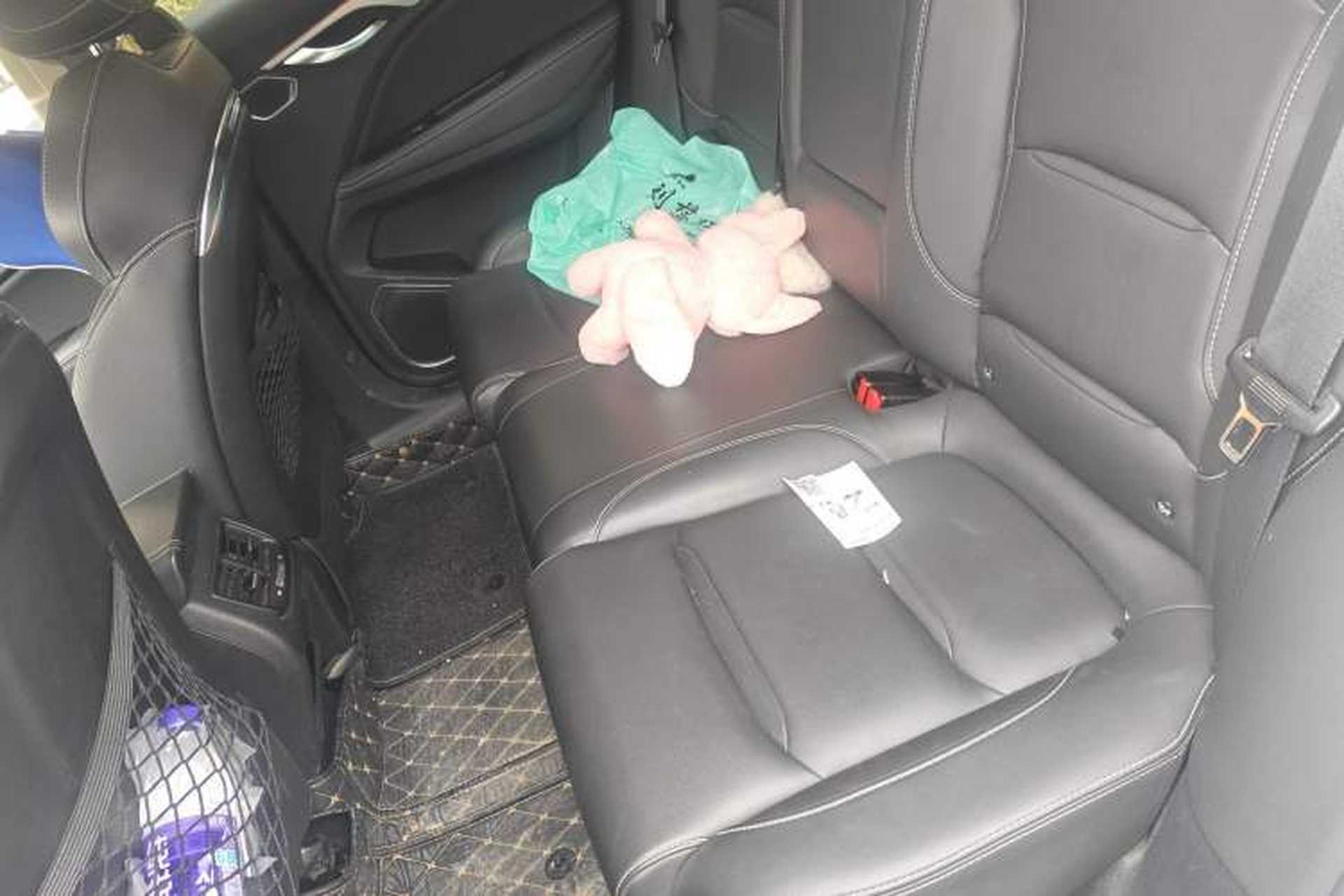 Used Geely Auto Monjaro 2020 High-Energy Edition 300T Yáoxīngzhě Left Rear Seat