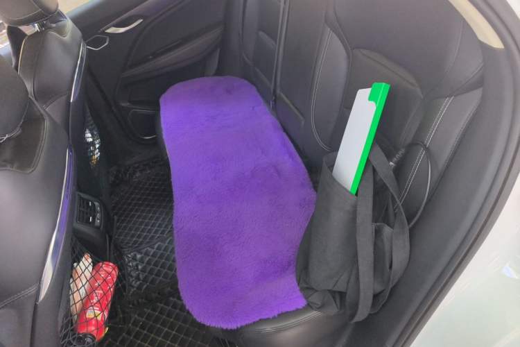 Used Geely Auto Monjaro 2020 High-Energy Edition 350T Yáoxīngzhě Left Rear Seat