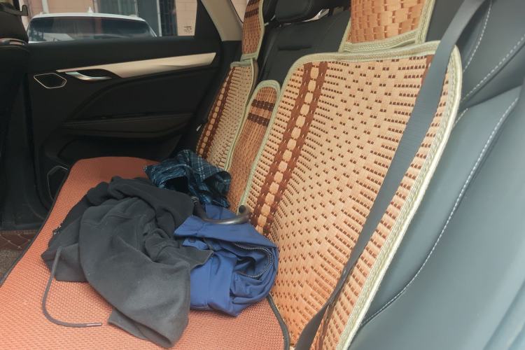Used Geely Auto Monjaro 2020 High-Energy Edition 300T Yáoxīngzhě Left Rear Seat