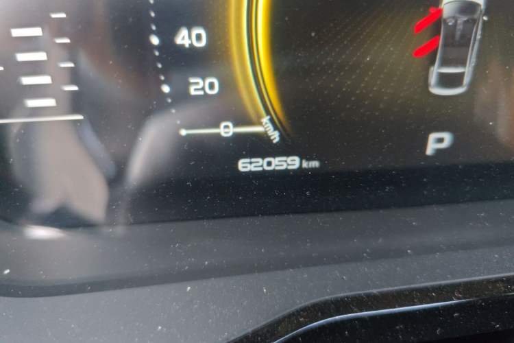 Used Geely Auto Monjaro 2020 High-Energy Edition 350T Yáoxīngzhě Odometer Close Up