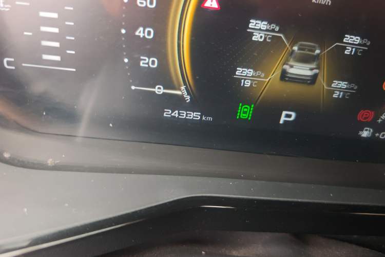 Used Geely Auto Monjaro 2020 High-Energy Edition 300T Yáoxīngzhě Odometer Close Up
