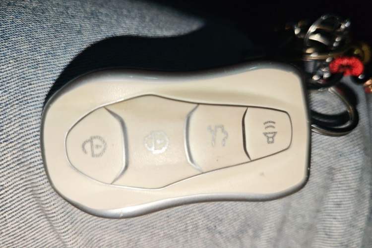 Used Geely Auto Monjaro 2020 High-Energy Edition 300T Yáoxīngzhě Vehicle Key