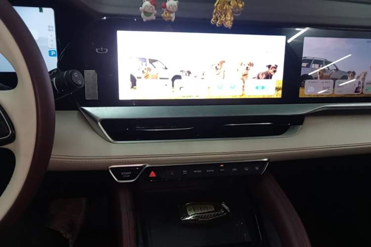 Used Geely Auto Monjaro L 2021 2.0TD DCT EVO Two-Wheel Drive Prestige Version Audio And AC Panel