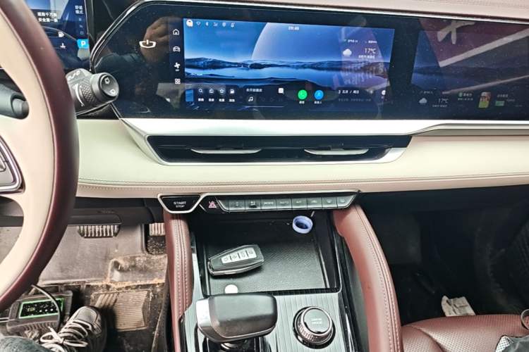 Used Geely Auto Monjaro L 2021 2.0TD DCT EVO Two-Wheel Drive Prestige Version Audio And AC Panel