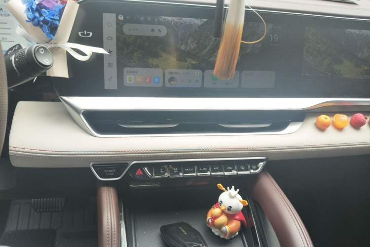 Used Geely Auto Monjaro L 2021 2.0TD DCT EVO Two-Wheel Drive Prestige Version Audio And AC Panel
