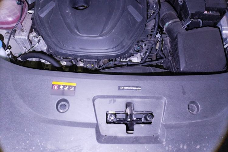 Used Geely Auto Monjaro L 2021 2.0TD DCT EVO Two-Wheel Drive Prestige Version Engine Bay