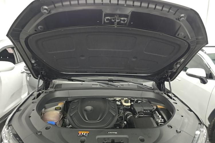 Used Geely Auto Monjaro L 2021 2.0TD DCT EVO Two-Wheel Drive Smart Luxury Version Engine Bay