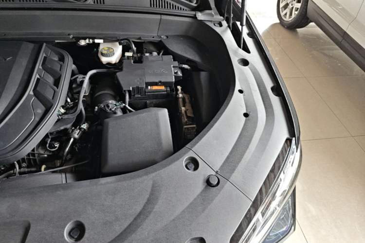 Used Geely Auto Monjaro L 2021 2.0TD High-Power Automatic All-Wheel-Drive Flagship Version Engine Bay Left