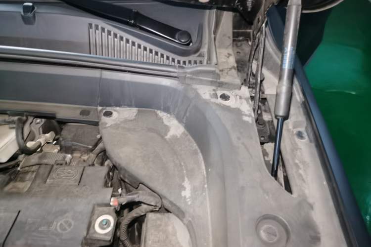 Used Geely Auto Monjaro L 2021 2.0TD High-Power Automatic All-Wheel-Drive Flagship Version Engine Bay Left