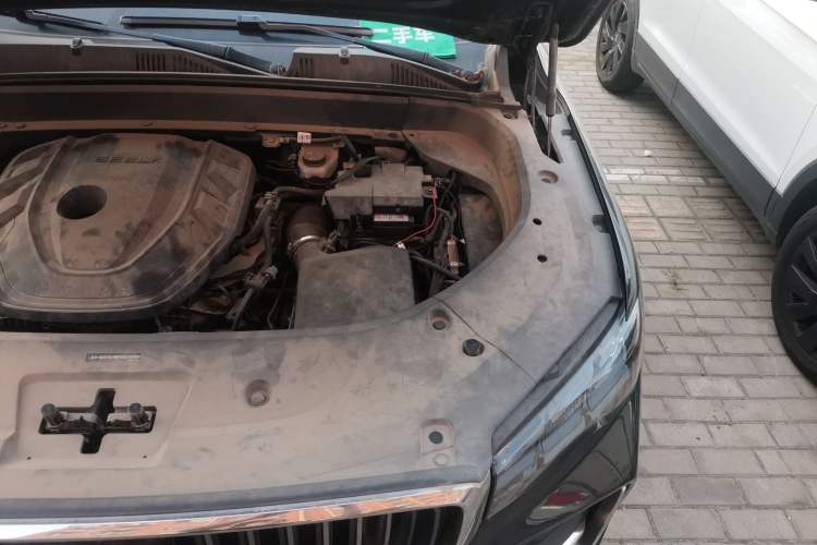 Used Geely Auto Monjaro L 2021 2.0TD DCT EVO Two-Wheel-Drive Flagship Version Engine Bay Left