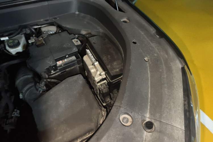 Used Geely Auto Monjaro L 2021 2.0TD DCT EVO Two-Wheel Drive Prestige Version Engine Bay Left