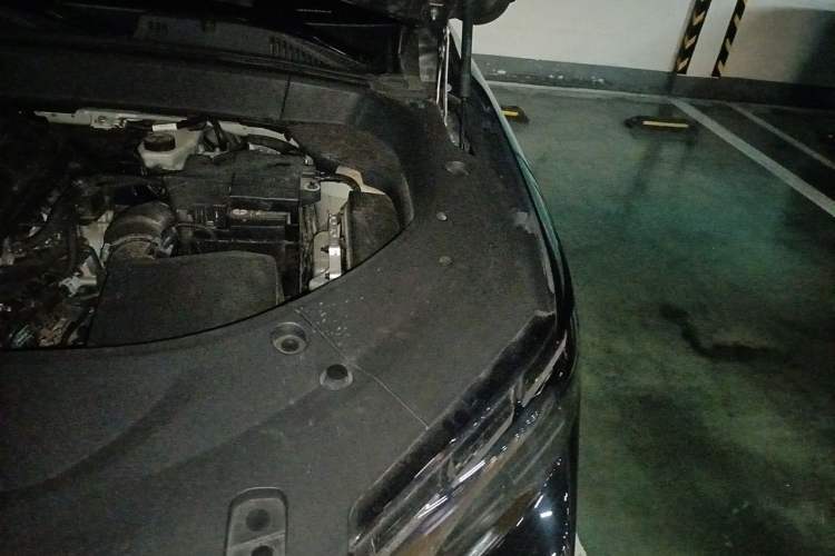 Used Geely Auto Monjaro L 2021 2.0TD DCT EVO Two-Wheel Drive Prestige Version Engine Bay Left