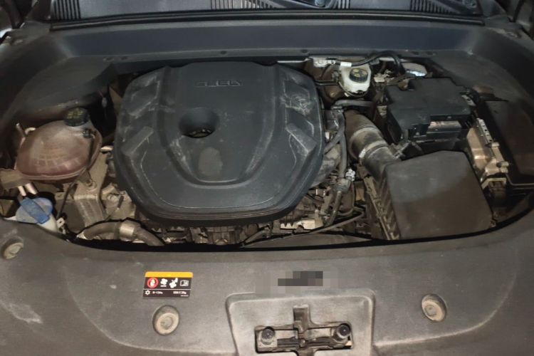 Used Geely Auto Monjaro L 2021 2.0TD DCT EVO Two-Wheel Drive Prestige Version Engine Bay