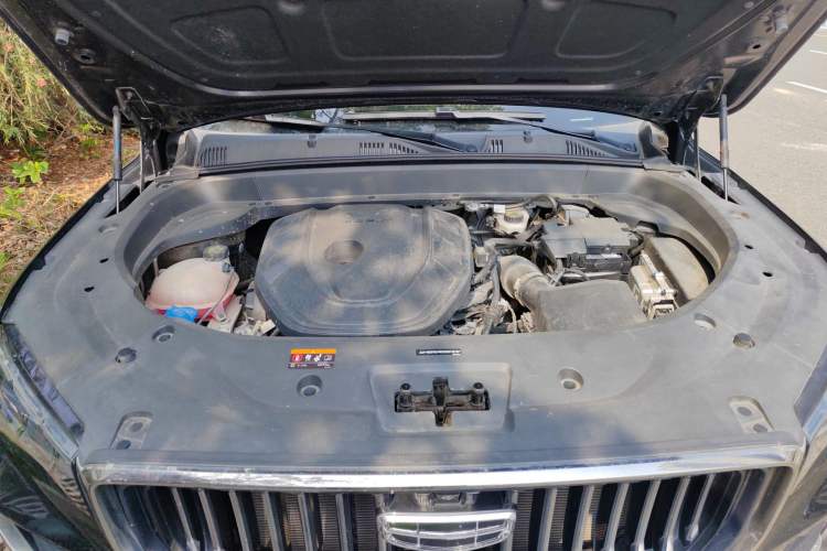 Used Geely Auto Monjaro L 2021 2.0TD DCT EVO Two-Wheel Drive Smart Luxury Version Engine Bay