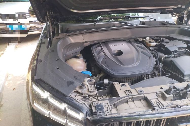 Used Geely Auto Monjaro L 2021 2.0TD High-Power Automatic All-Wheel-Drive Flagship Version Engine Bay Right