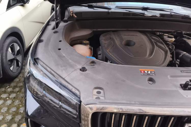 Used Geely Auto Monjaro L 2021 2.0TD DCT EVO Two-Wheel Drive Smart Luxury Version Engine Bay Right