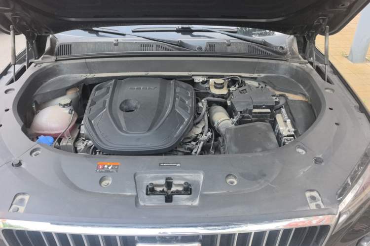 Used Geely Auto Monjaro L 2021 2.0TD DCT EVO Two-Wheel Drive Prestige Version Engine Bay