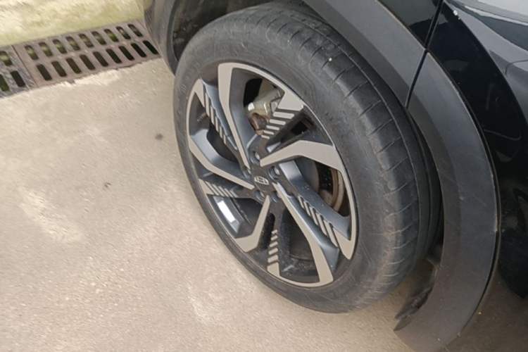 Used Geely Auto Monjaro L 2021 2.0TD DCT EVO Two-Wheel Drive Smart Luxury Version Exterior 5