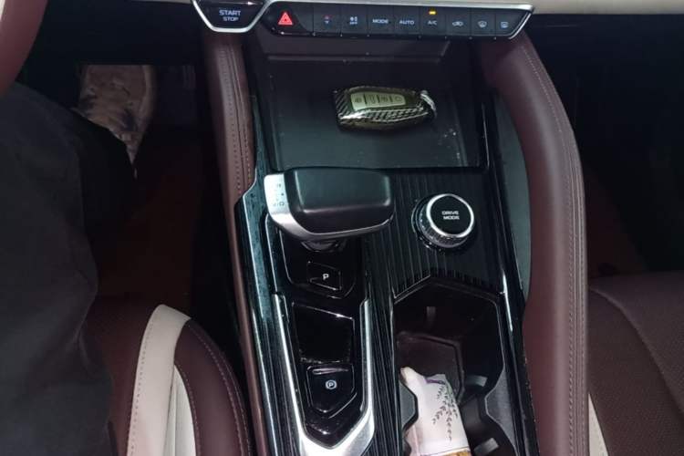 Used Geely Auto Monjaro L 2021 2.0TD DCT EVO Two-Wheel Drive Prestige Version Gear Lever
