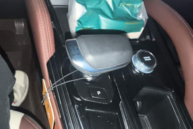 Used Geely Auto Monjaro L 2021 2.0TD DCT EVO Two-Wheel Drive Prestige Version Gear Lever