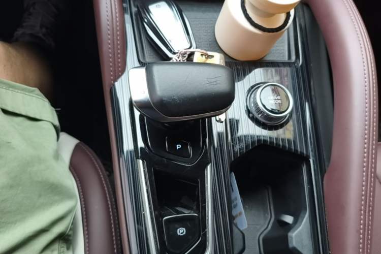 Used Geely Auto Monjaro L 2021 2.0TD High-Power Automatic All-Wheel-Drive Flagship Version Gear Lever