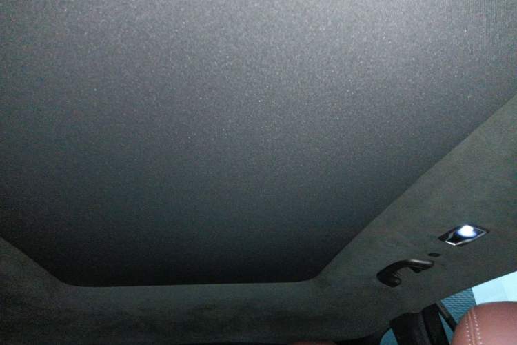 Used Geely Auto Monjaro L 2021 2.0TD DCT EVO Two-Wheel Drive Prestige Version Headliner