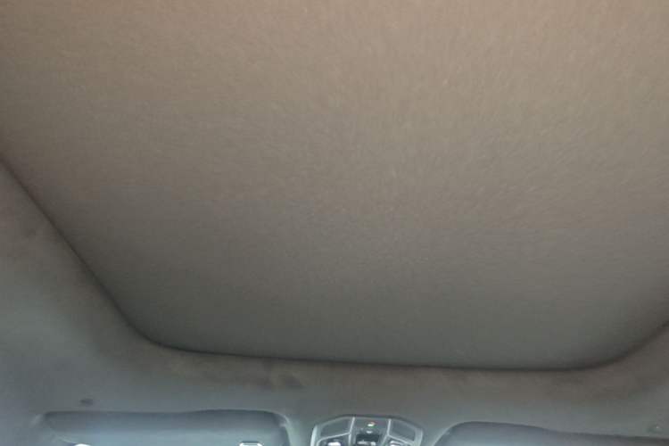 Used Geely Auto Monjaro L 2021 2.0TD DCT EVO Two-Wheel Drive Prestige Version Headliner