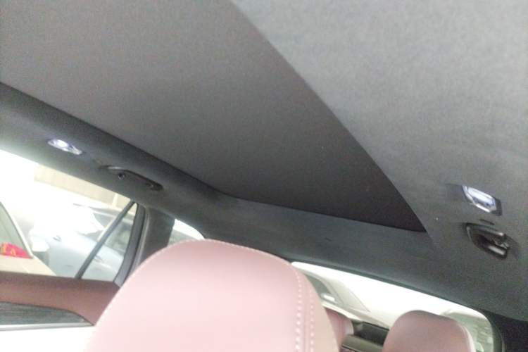 Used Geely Auto Monjaro L 2021 2.0TD High-Power Automatic All-Wheel-Drive Flagship Version Headliner