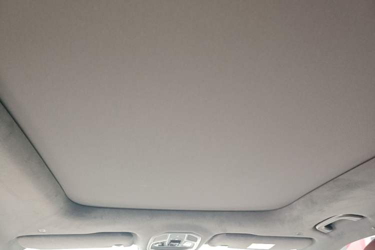 Used Geely Auto Monjaro L 2021 2.0TD DCT EVO Two-Wheel Drive Prestige Version Headliner