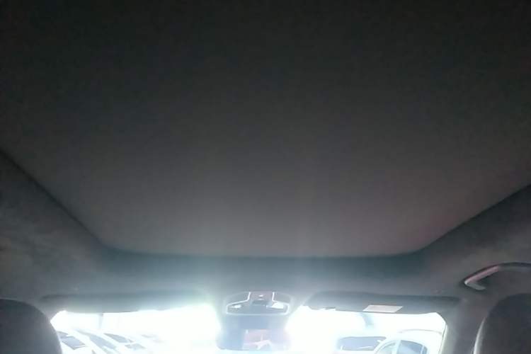 Used Geely Auto Monjaro L 2021 2.0TD DCT EVO Two-Wheel Drive Prestige Version Headliner