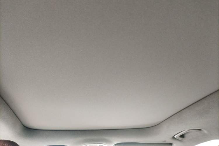 Used Geely Auto Monjaro L 2021 2.0TD DCT EVO Two-Wheel Drive Prestige Version Headliner