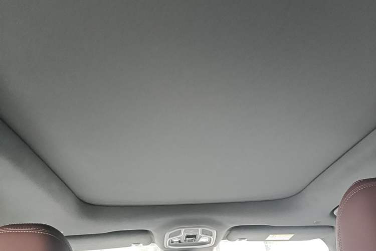 Used Geely Auto Monjaro L 2021 2.0TD DCT EVO Two-Wheel Drive Prestige Version Headliner