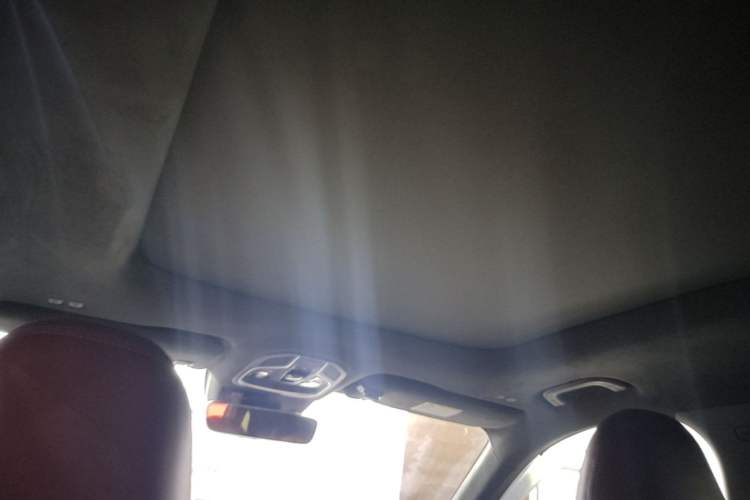 Used Geely Auto Monjaro L 2021 2.0TD DCT EVO Two-Wheel-Drive Flagship Version Headliner