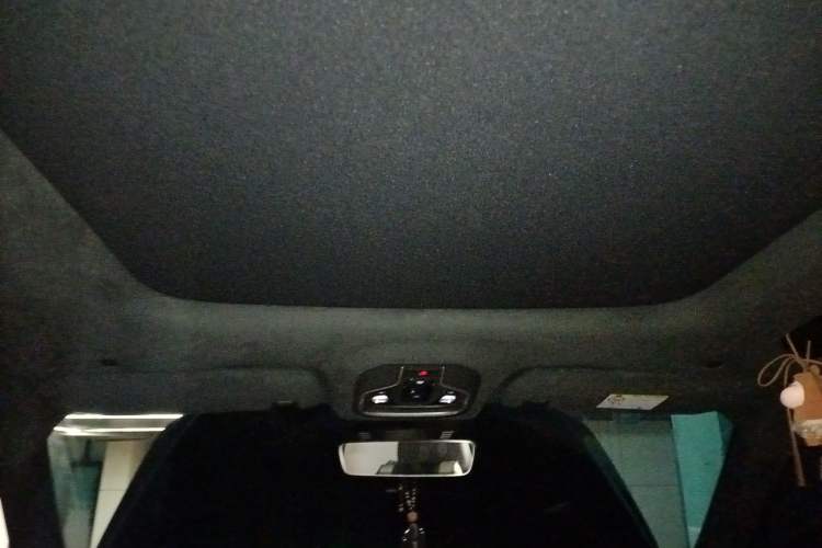 Used Geely Auto Monjaro L 2021 2.0TD DCT EVO Two-Wheel Drive Prestige Version Headliner