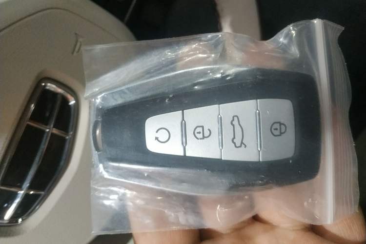 Used Geely Auto Monjaro L 2021 2.0TD High-Power Automatic All-Wheel-Drive Flagship Version Interior 1