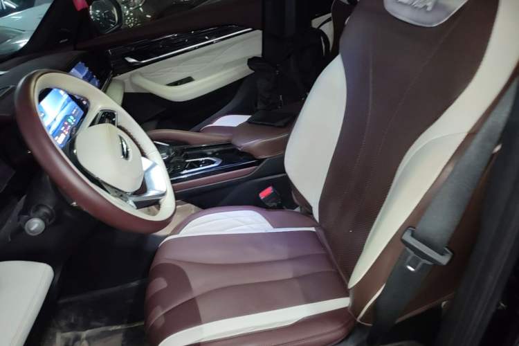 Used Geely Auto Monjaro L 2021 2.0TD DCT EVO Two-Wheel Drive Smart Luxury Version Left Front Seat