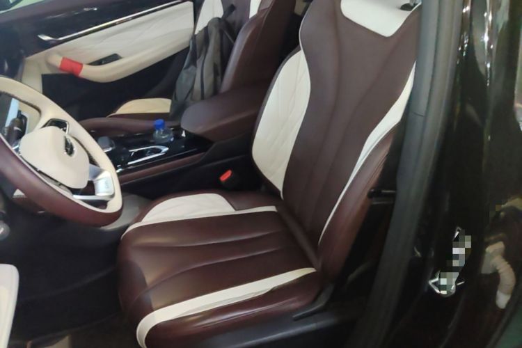 Used Geely Auto Monjaro L 2021 2.0TD DCT EVO Two-Wheel Drive Prestige Version Left Front Seat