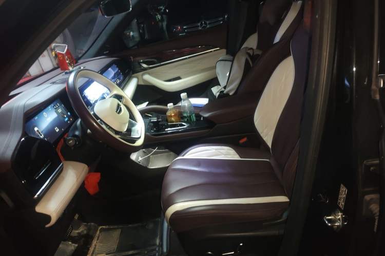Used Geely Auto Monjaro L 2021 2.0TD High-Power Automatic All-Wheel-Drive Flagship Version Left Front Seat