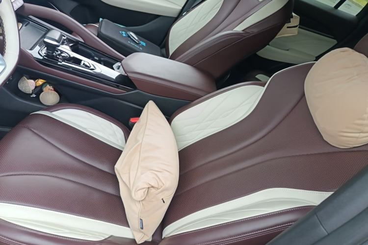 Used Geely Auto Monjaro L 2021 2.0TD DCT EVO Two-Wheel Drive Smart Luxury Version Left Front Seat