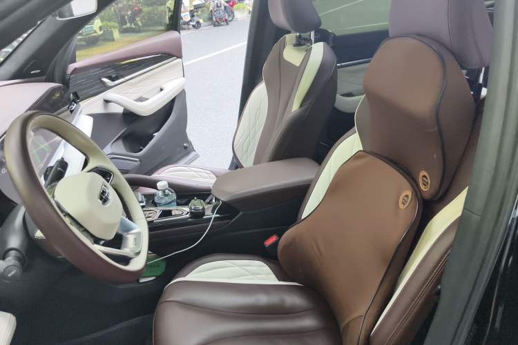 Used Geely Auto Monjaro L 2021 2.0TD DCT EVO Two-Wheel Drive Smart Luxury Version Left Front Seat