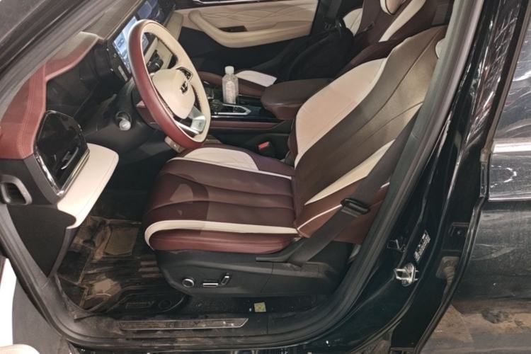 Used Geely Auto Monjaro L 2021 2.0TD DCT EVO Two-Wheel Drive Smart Luxury Version Left Front Seat