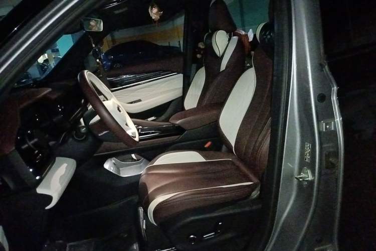 Used Geely Auto Monjaro L 2021 2.0TD DCT EVO Two-Wheel Drive Prestige Version Left Front Seat