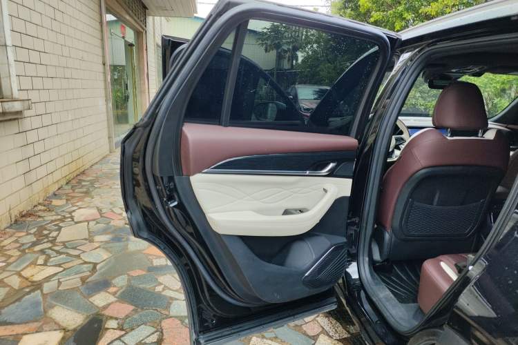 Used Geely Auto Monjaro L 2021 2.0TD DCT EVO Two-Wheel Drive Prestige Version Left Rear Door Interior