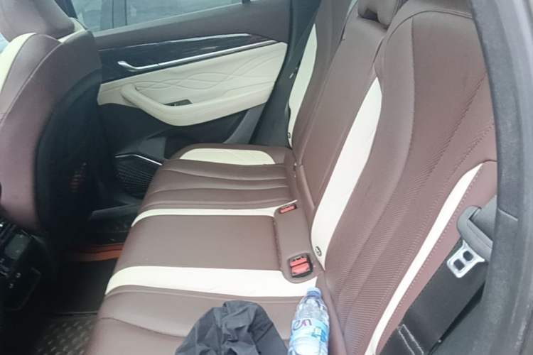 Used Geely Auto Monjaro L 2021 2.0TD DCT EVO Two-Wheel Drive Smart Luxury Version Left Rear Seat