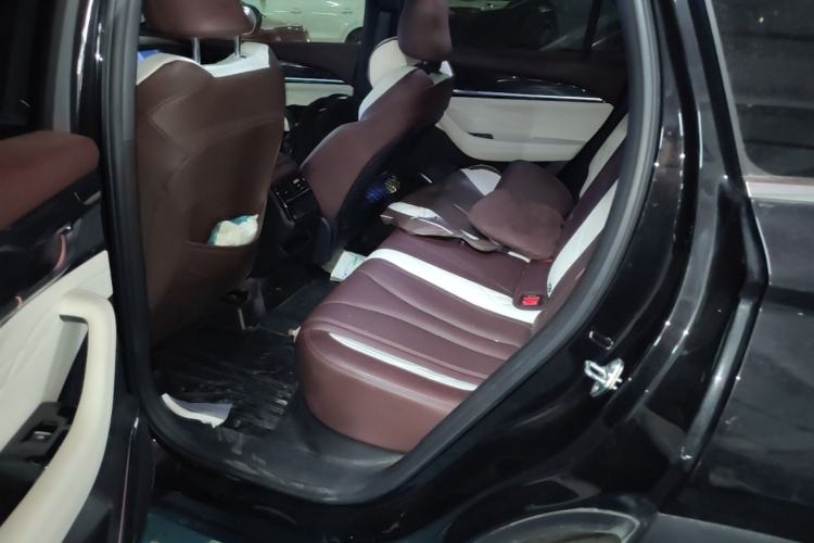 Used Geely Auto Monjaro L 2021 2.0TD DCT EVO Two-Wheel Drive Smart Luxury Version Left Rear Seat