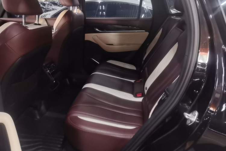 Used Geely Auto Monjaro L 2021 2.0TD DCT EVO Two-Wheel Drive Prestige Version Left Rear Seat