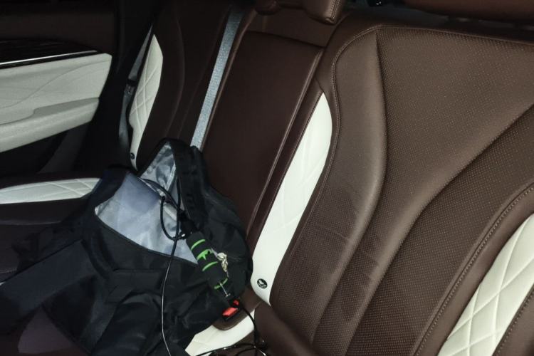 Used Geely Auto Monjaro L 2021 2.0TD DCT EVO Two-Wheel-Drive Flagship Version Left Rear Seat