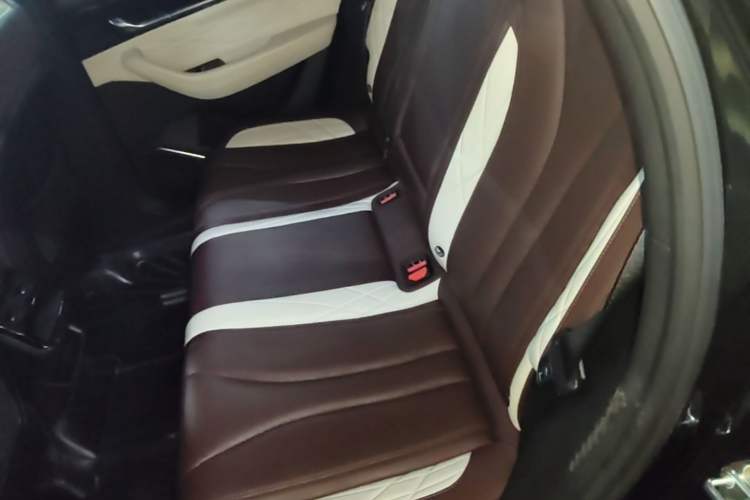 Used Geely Auto Monjaro L 2021 2.0TD DCT EVO Two-Wheel Drive Prestige Version Left Rear Seat