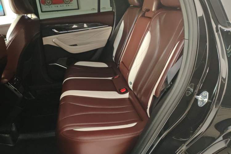 Used Geely Auto Monjaro L 2021 2.0TD DCT EVO Two-Wheel Drive Smart Luxury Version Left Rear Seat