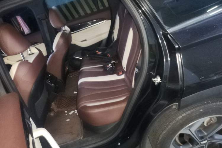 Used Geely Auto Monjaro L 2021 2.0TD DCT EVO Two-Wheel Drive Prestige Version Left Rear Seat